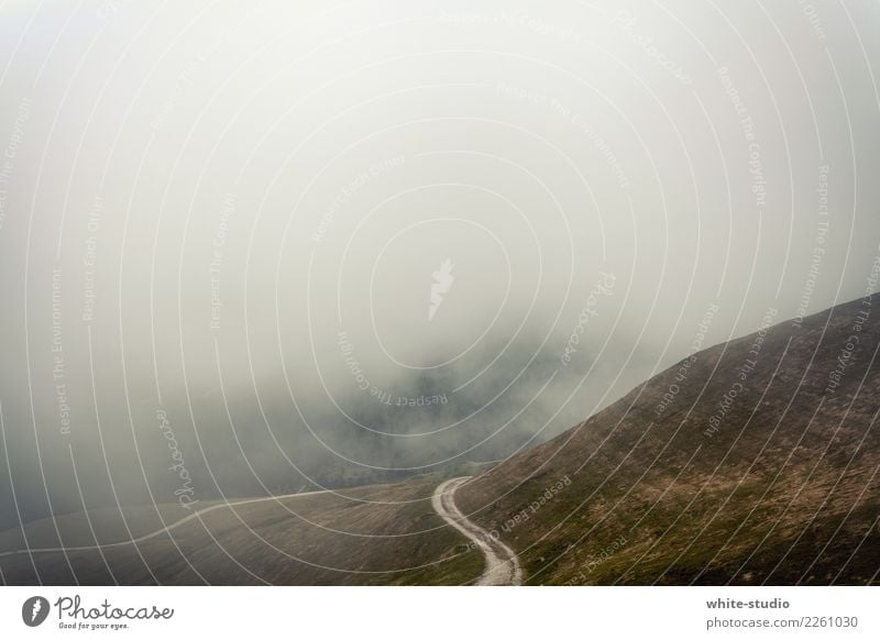 Road to nowhere! Hügel Berge u. Gebirge wandern Niemandsland Einsamkeit Nebel Nebelschleier Nebelbank Nebelstimmung Straße Kurve Autofahren bedrohlich Angst