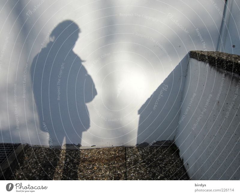 Schattenmann maskulin Junger Mann Jugendliche Erwachsene 1 Mensch warten Mauer Silhouette Sonnenlicht Wand Kontrast Licht Farbfoto Gedeckte Farben Außenaufnahme