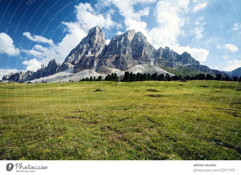 Berg! Felsen Alpen Berge u. Gebirge Gipfel wandern Bergsteigen Berghang Klettern Bergkamm Bergkette Bergkuppe Wiese Peitlerkofel Südtirol Dolomiten Steinwand