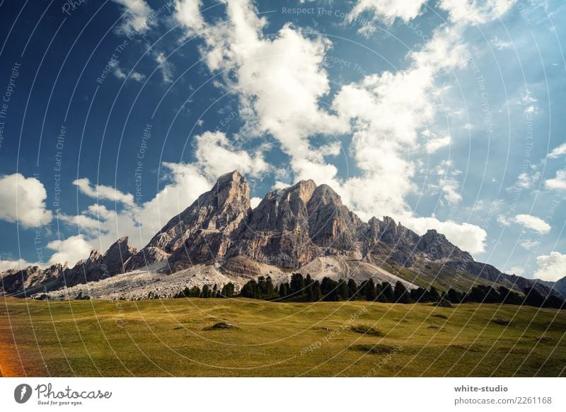 Ein Berg. Wiese Felsen Alpen Berge u. Gebirge Gipfel Macht Mut wild Dolomiten Bergkette Felswand Nordwand Peitlerkofel Brutal Aggression erhaben Farbfoto