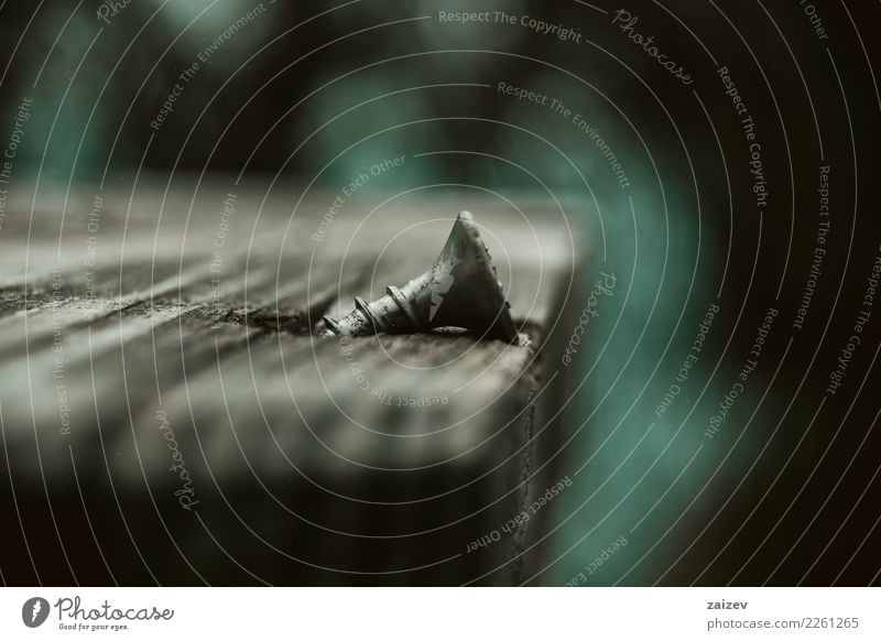 Altes Holz mit einem Nagel, der heraus haftet Metall bauen alt dunkel kaputt stark Stadt braun grün Aggression retro Traurigkeit Trauer Schmerz Einsamkeit
