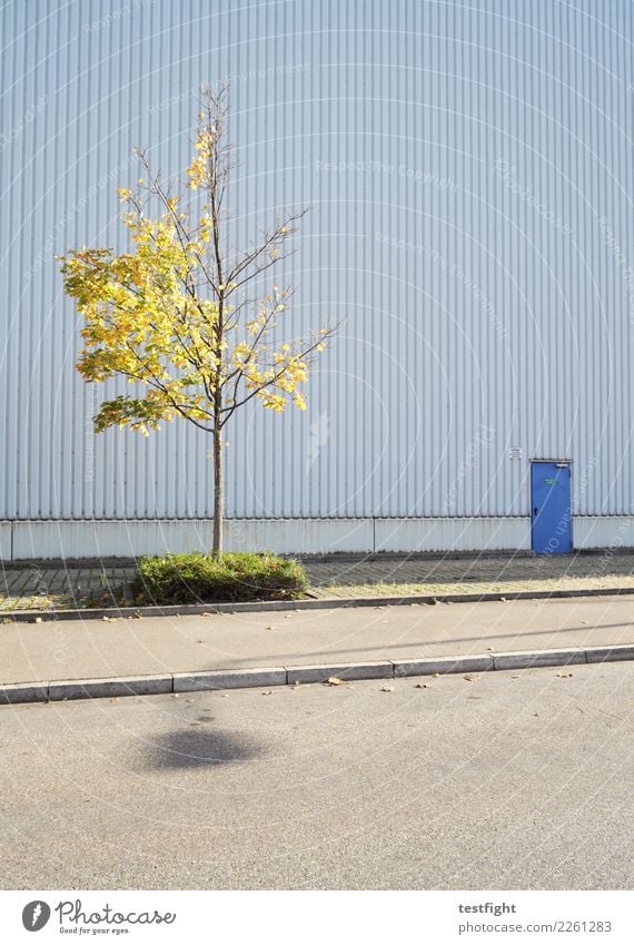 tür Baum Stadt Industrieanlage Fabrik Bauwerk Gebäude Architektur Mauer Wand Fassade Tür Straße Frühlingsgefühle Optimismus Kraft geduldig ruhig Einsamkeit