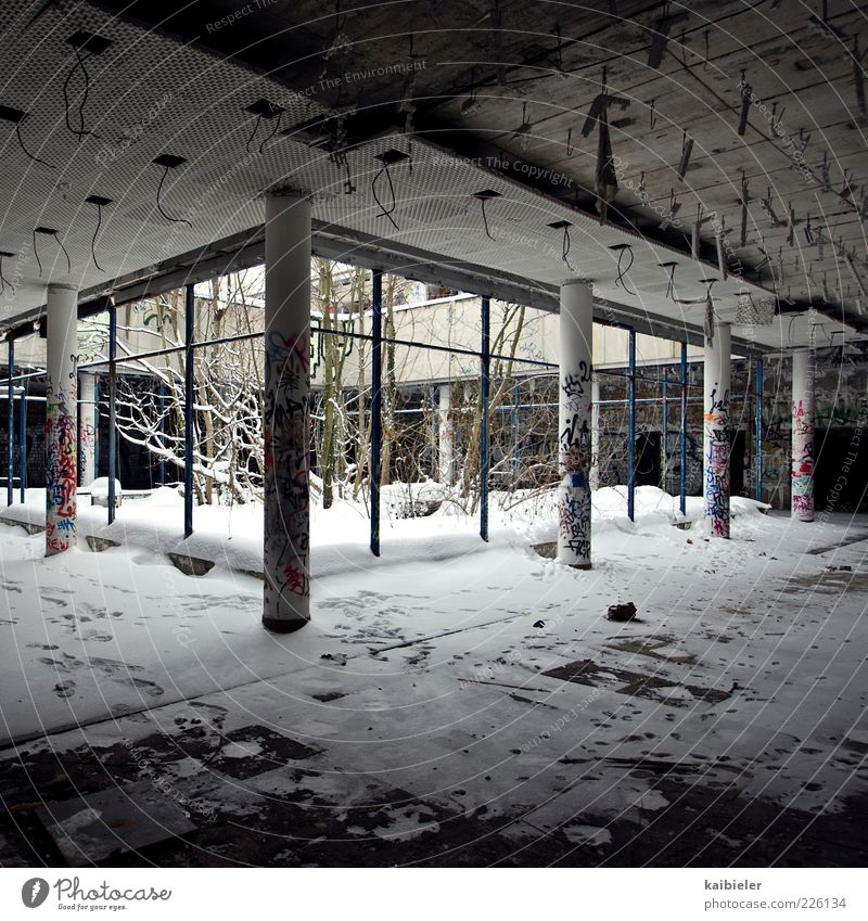 Wintergarten Schnee Baum Sträucher Bauwerk Gebäude Säule Innenhof Lichthof Fenster Decke Beton Graffiti Plattenbau alt dunkel kaputt grau weiß Endzeitstimmung