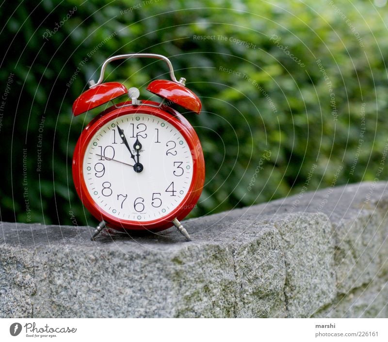 5 vor 12 Natur Stein grün rot Wecker 5vor12 Zifferblatt retro Uhr Uhrenzeiger Symbole & Metaphern Mauer Zeitpunkt Zeitplanung Außenaufnahme ticktack Steinmauer