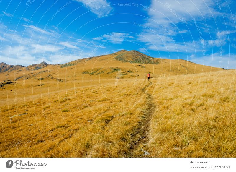 Weg durch goldene Herbstberge, Lagodekhi schön Ferien & Urlaub & Reisen Tourismus Abenteuer Sommer Sonne Schnee Berge u. Gebirge wandern Umwelt Natur Landschaft