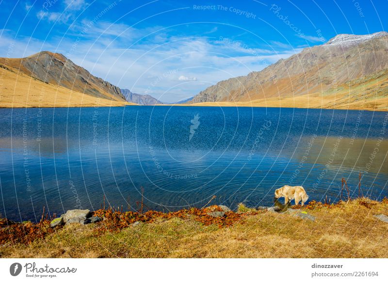 Schwarzer Rock Lake, Lagodekhi, Georgia schön Ferien & Urlaub & Reisen Tourismus Abenteuer Sonne Berge u. Gebirge wandern Umwelt Natur Landschaft Herbst Gras