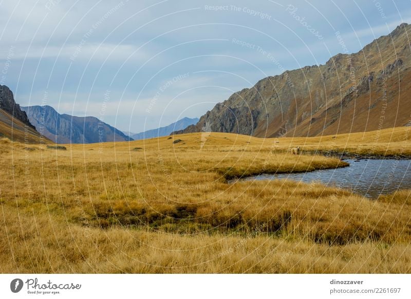 Schwarzer Rock Lake, Lagodekhi, Georgia schön Ferien & Urlaub & Reisen Tourismus Abenteuer Sonne Berge u. Gebirge wandern Umwelt Natur Landschaft Herbst Gras