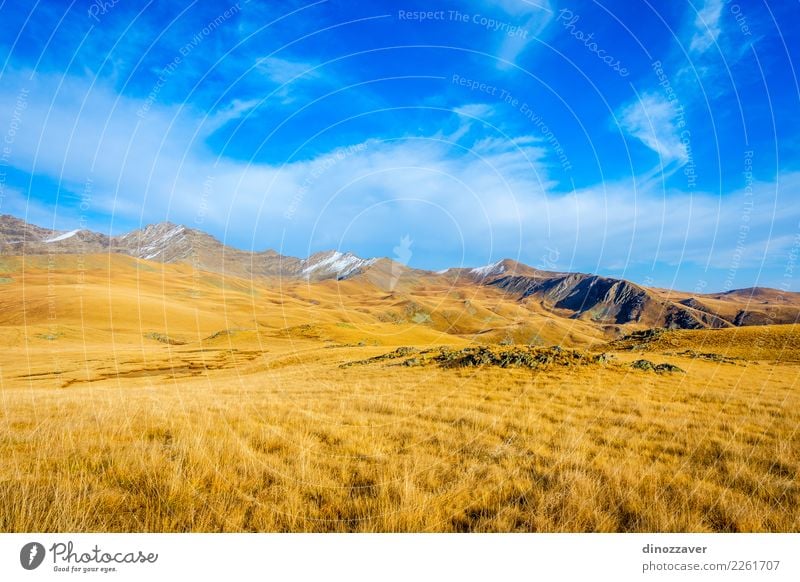 Goldene Berge, Lagodekhi, Georgia schön Ferien & Urlaub & Reisen Tourismus Abenteuer Sommer Sonne Schnee Berge u. Gebirge wandern Umwelt Natur Landschaft Wolken