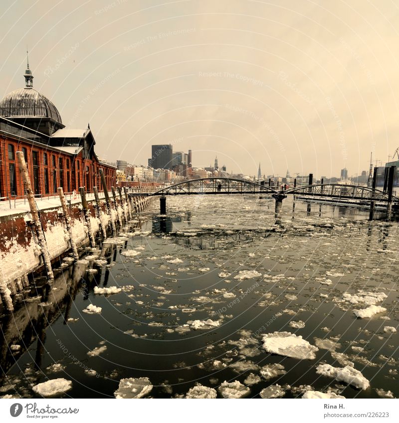 Hamburger Hafen im Winter Fluss Brücke Gebäude Sehenswürdigkeit Schifffahrt Binnenschifffahrt frieren kalt Altonaer Fischauktionshalle Eisscholle Fischmarkt