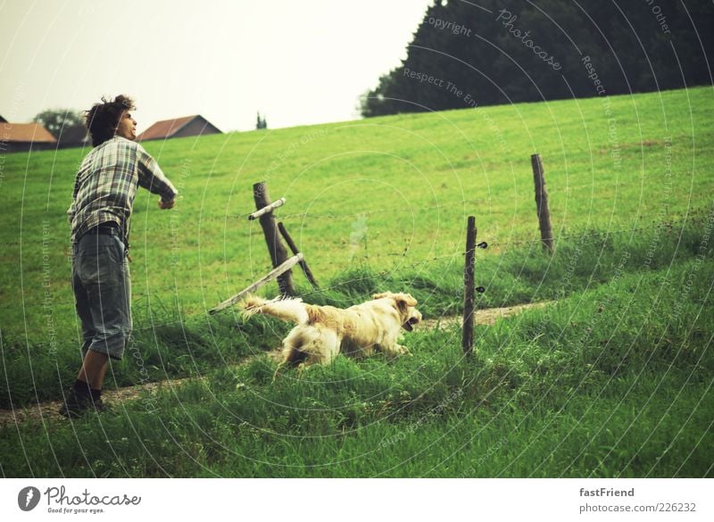 freier Lebensstil Spielen Freiheit Sommer Ballsport Sportler maskulin Junger Mann Jugendliche 1 Mensch 18-30 Jahre Erwachsene Landschaft Wiese Tier Hund Jagd