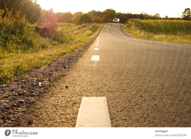 Eine Landstraße in Südschweden Natur Landschaft Pflanze Erde Sonne Sonnenlicht Herbst Schönes Wetter Baum Gras Verkehr Verkehrswege Güterverkehr & Logistik