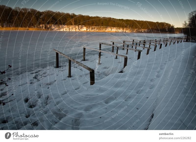 Wie sich Kalle und Zett mal ganz knapp verpaßt haben Freizeit & Hobby Freiheit Winter Schnee Umwelt Landschaft Himmel Wetter Schönes Wetter Eis Frost Seeufer