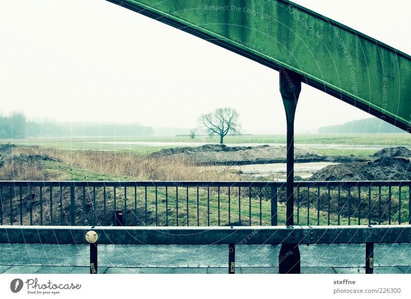 Überbrückung Umwelt Landschaft Herbst Winter schlechtes Wetter Nebel Regen Baum Brücke Farbfoto mehrfarbig Außenaufnahme Textfreiraum oben Tag Menschenleer