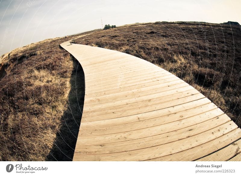 Dieser Weg Ausflug Ferne Freiheit Sommer Natur Landschaft Himmel Horizont Schönes Wetter Küste Nordsee Heide Morsum Kliff Wege & Pfade Holz frei natürlich