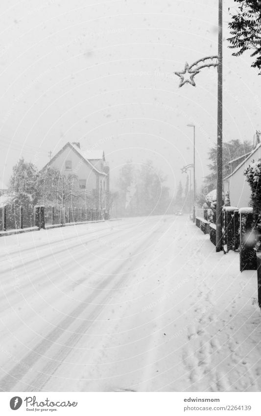 Es schneit Winter Schnee Weihnachten & Advent Schneefall Straße Dekoration & Verzierung gebrauchen Bewegung fahren laufen stehen kalt natürlich neu schön grau