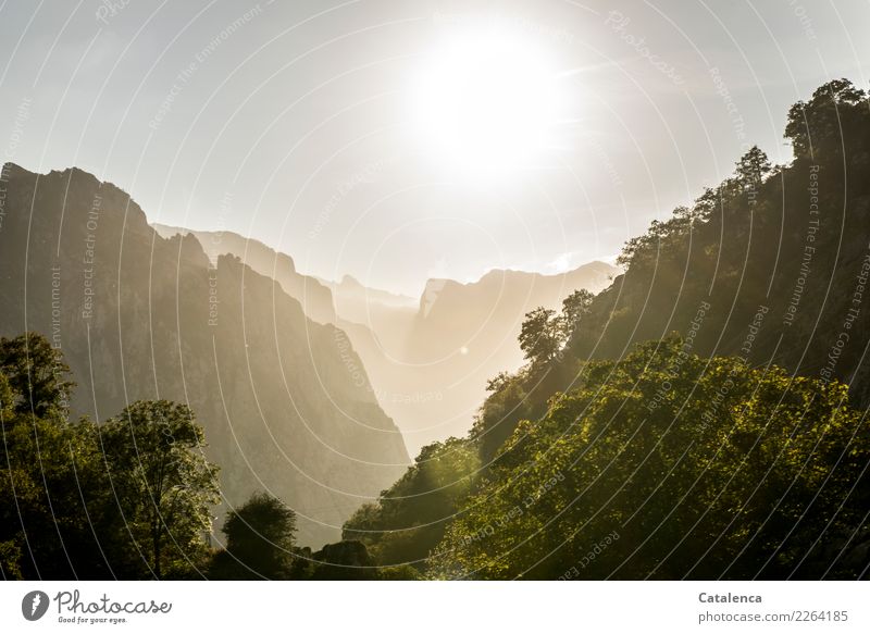 Sonnige Bergwelt Sommerurlaub Berge u. Gebirge wandern Landschaft Sonne Schönes Wetter Baum Sträucher Wald Felsen Erholung glänzend ästhetisch fantastisch braun