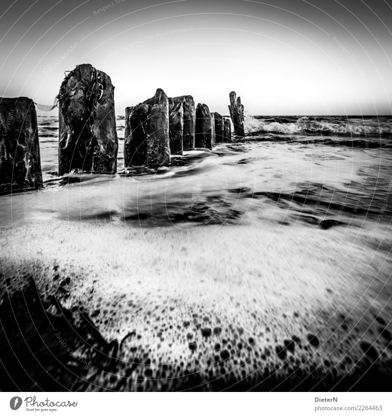 Umspült Strand Meer Landschaft Wasser Horizont Herbst Ostsee grau schwarz weiß Kühlungsborn Mecklenburg-Vorpommern Buhne Wellen Schaum Schwarzweißfoto