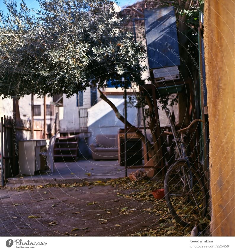 um die Ecke Stadtrand Altstadt Menschenleer Haus Mauer Wand Treppe Fassade Terrasse Olivenbaum Zaun Blumentopf Blatt Stuhl alt Armut dreckig authentisch viele