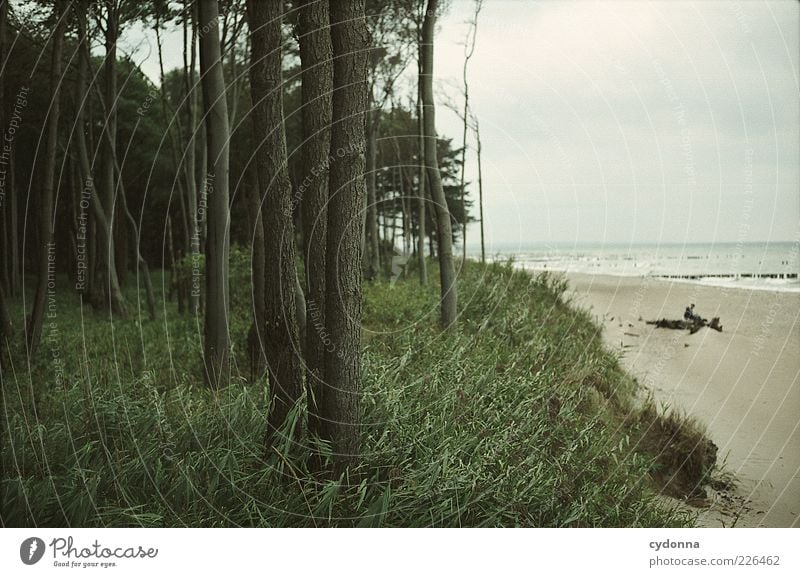 Einfach da sitzen und aufs Meer schauen Lifestyle Wohlgefühl Erholung ruhig Ferien & Urlaub & Reisen Ausflug Ferne Freiheit Umwelt Natur Landschaft Wolken Baum