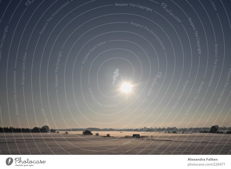 Flachland. Freiheit Winter Schnee Umwelt Natur Himmel Wolkenloser Himmel Klima Wetter Schönes Wetter Eis Frost Wiese Niedersachsen kalt Klarheit leuchten