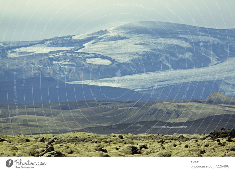 Islandstreifen Ferien & Urlaub & Reisen Ferne Schnee Berge u. Gebirge Umwelt Natur Landschaft Urelemente Erde Himmel Wolkenloser Himmel Klima Wetter Moos Hügel