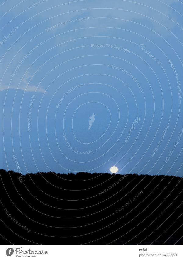 Abendstimmung Nacht Stimmung dunkel Dämmerung Licht schwarz Köln Köln-Zündorf Porz Wald Aussicht Himmel kalt Rhein Mond blau Kontrast View sky aufwärts
