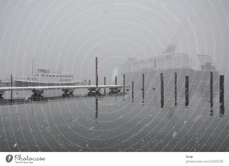 rain on a cold day Meer Winter Schnee Wasser Schneefall Hafen Kreuzfahrtschiff Fähre Wasserfahrzeug grau Schneeflocke Kiel Gedeckte Farben Nebel Dunst Dalben