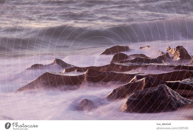 Steine - Ozean - Wasser Glück Wohlgefühl Zufriedenheit Freiheit Strand Meer Wellen Ruhestand Feierabend Umwelt Natur Landschaft Urelemente Klima Schönes Wetter