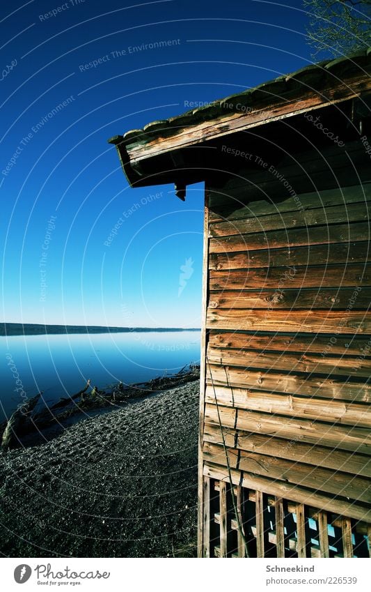 Draussen am See III harmonisch Wohlgefühl Erholung ruhig Ferne Freiheit Haus Umwelt Natur Landschaft Wasser Himmel Schönes Wetter Küste Seeufer Blick Holzhütte