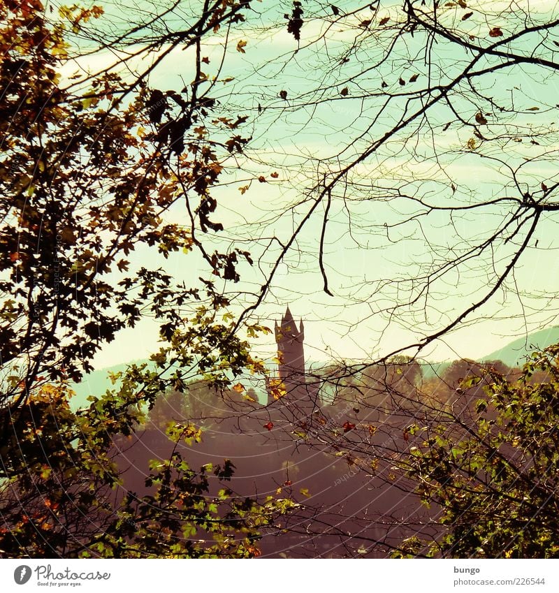 Zwei Jahreszeiten Natur Ruine Bauwerk Sehenswürdigkeit Wahrzeichen ästhetisch Baum Blatt Herbst Geäst Ast Unterholz Durchblick Turm Burg oder Schloss Himmel