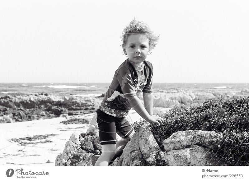 146 [Der Entdecker] Spielen Kinderspiel Sommerurlaub Strand Meer Junge Kindheit Leben Mensch 3-8 Jahre Wolkenloser Himmel Küste entdecken frei schön natürlich