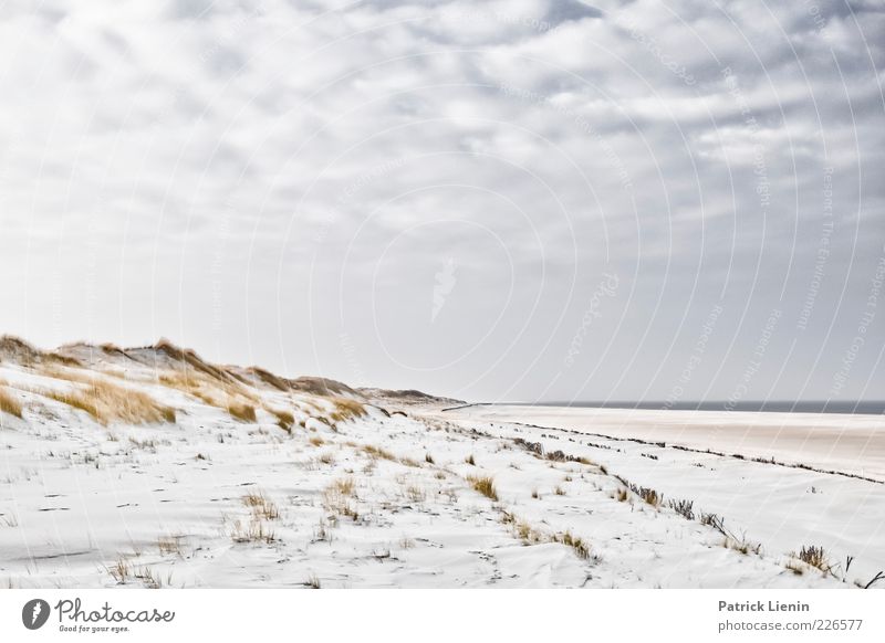 Peace & Quiet Umwelt Natur Landschaft Urelemente Sand Luft Wasser Himmel Wolken Horizont Sonnenlicht Klima Wetter Schönes Wetter Wind Pflanze Sträucher Küste