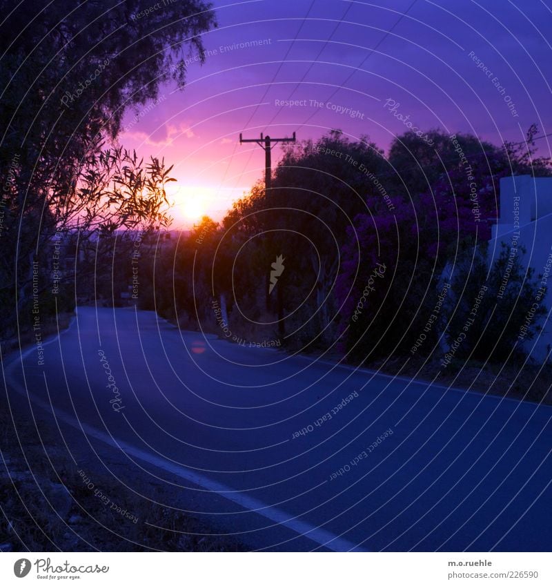 farbe der saison Umwelt Natur Landschaft Himmel Sonne Sonnenaufgang Sonnenuntergang Sonnenlicht Sommer Klima Schönes Wetter Pflanze Baum Straße blau violett