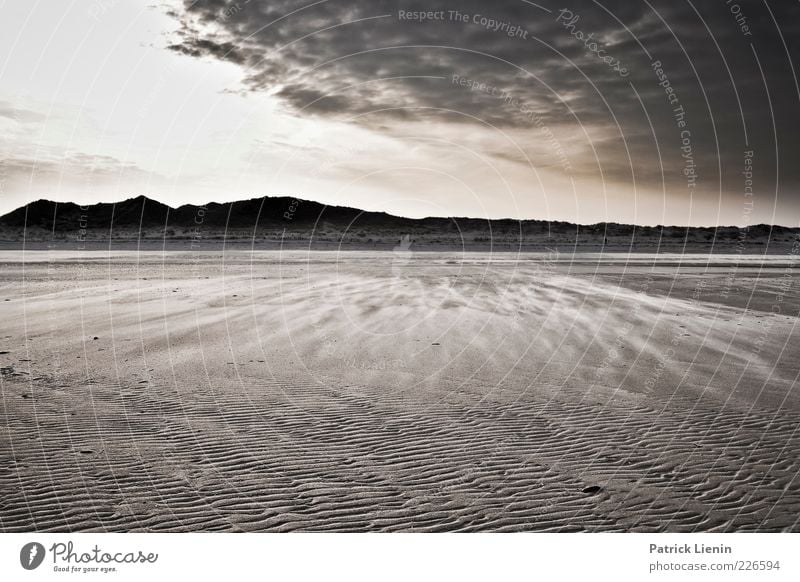 and the day turned black Umwelt Natur Landschaft Urelemente Sand Luft Himmel Wolken Gewitterwolken Klima Klimawandel Wetter schlechtes Wetter Wind Küste Strand