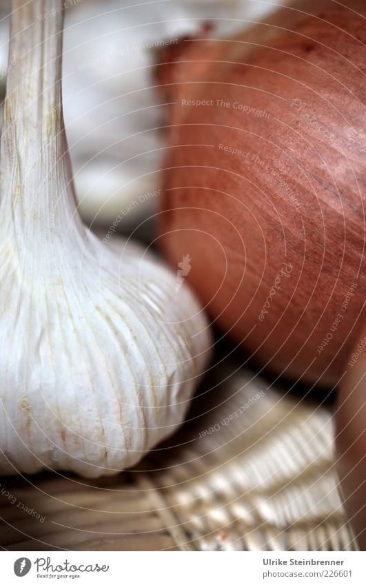 Zwiebel und Knoblauchknolle teilweise in Korb sichtbar Lebensmittel Gemüse Knolle Ernährung liegen Gesundheit nachhaltig rund braun weiß Hülle Schalenfrucht