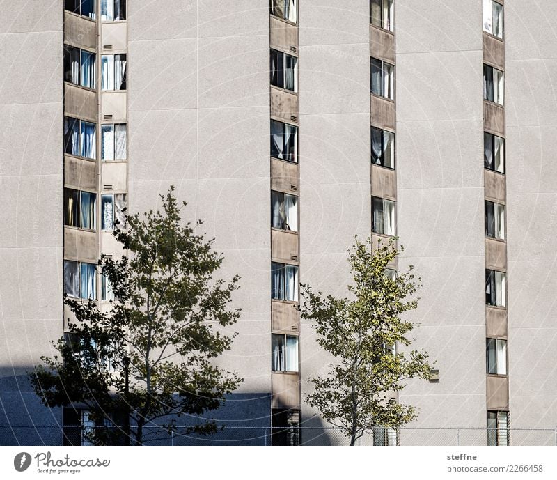 Mein Block III Baum Stadt Haus Häusliches Leben Washington Washington DC Fassade Hochhaus Farbfoto Außenaufnahme Menschenleer