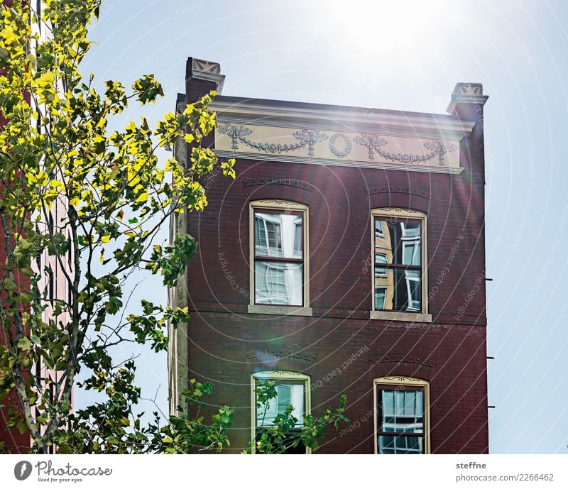 Around the World: Washington Wolkenloser Himmel Sonnenlicht Schönes Wetter Baum Haus Einfamilienhaus Mauer Wand Fassade Idylle Häusliches Leben USA Farbfoto