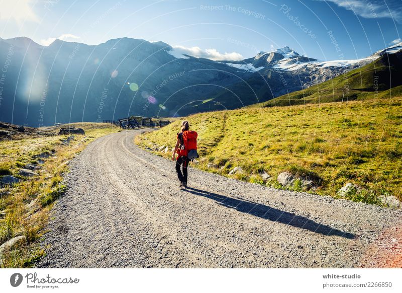 Einsamer Wanderer feminin 1 Mensch 18-30 Jahre Jugendliche Erwachsene wandern Ferien & Urlaub & Reisen Abenteuer Einsamkeit einzeln Rucola Rucksack