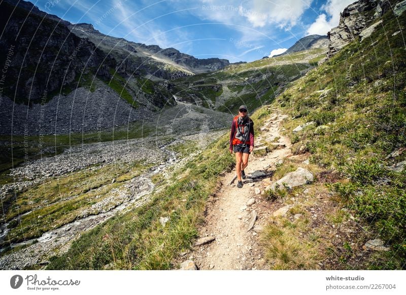 Der Pfad Frau Erwachsene wandern Wege & Pfade Fußweg Panorama (Aussicht) Spaziergang gehen Berge u. Gebirge Bergsteigen Panoramaweg Landschaft Naturschutzgebiet