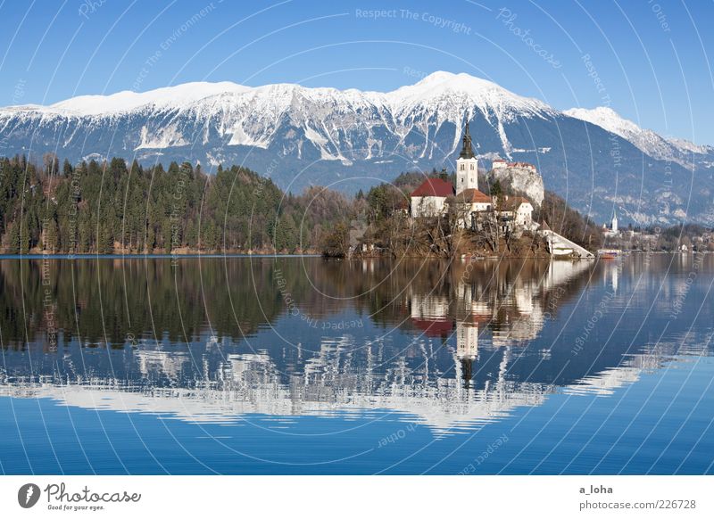 sunshine lake Natur Landschaft Winter Schönes Wetter Alpen Berge u. Gebirge Gipfel Schneebedeckte Gipfel Küste Seeufer Insel Bled Dorf Kirche Bauwerk