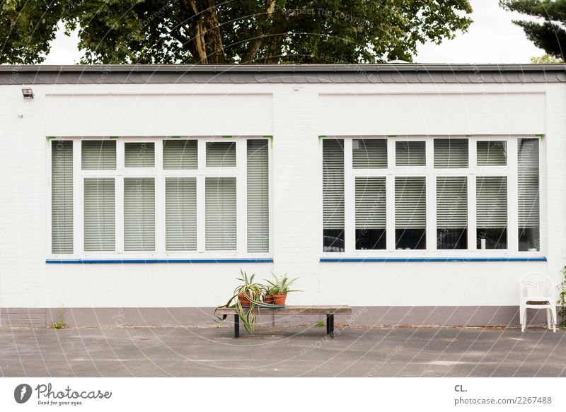 topfpflanzen auf bank Häusliches Leben Haus Dekoration & Verzierung Pflanze Baum Topfpflanze Platz Architektur Mauer Wand Fenster Bank Stuhl Gartenstuhl Rollo