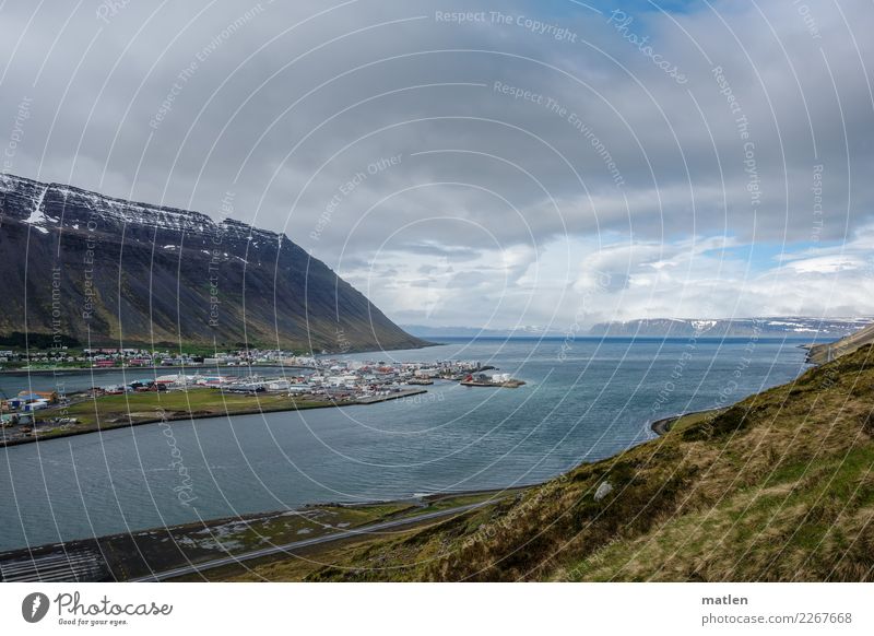 Isafjoedur Natur Landschaft Himmel Wolken Horizont Frühling Schönes Wetter Wind Gras Felsen Berge u. Gebirge Schneebedeckte Gipfel Küste Fjord Meer Hauptstadt