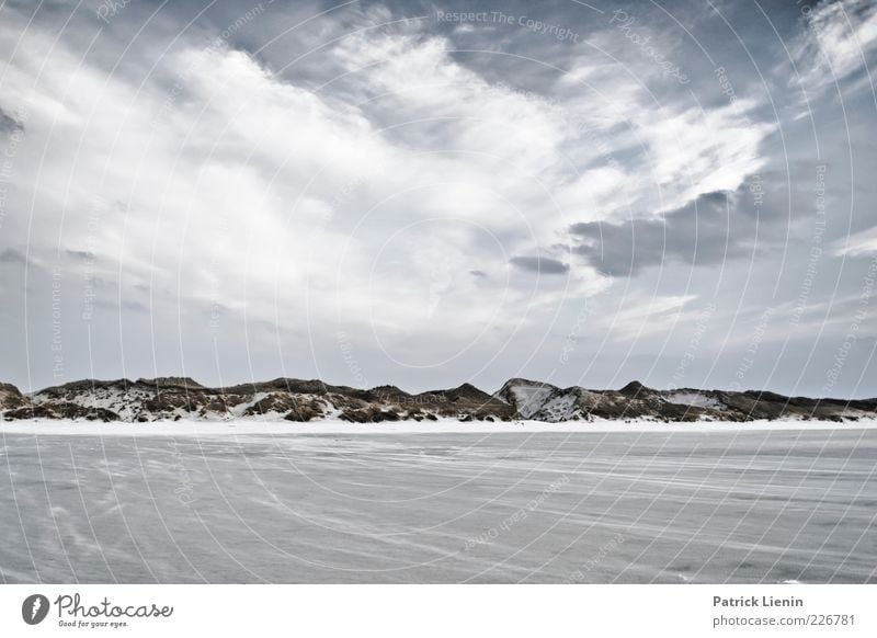 Virtual Landscape Umwelt Natur Landschaft Urelemente Erde Sand Luft Himmel Wolken Klima Klimawandel Wetter Wind Pflanze Hügel Küste Strand Nordsee Meer Insel