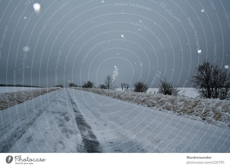 Melancholie Winter Schnee Winterurlaub Arbeit & Erwerbstätigkeit Umwelt Natur Landschaft Himmel Wolken Klima schlechtes Wetter Schneefall Feld Straße