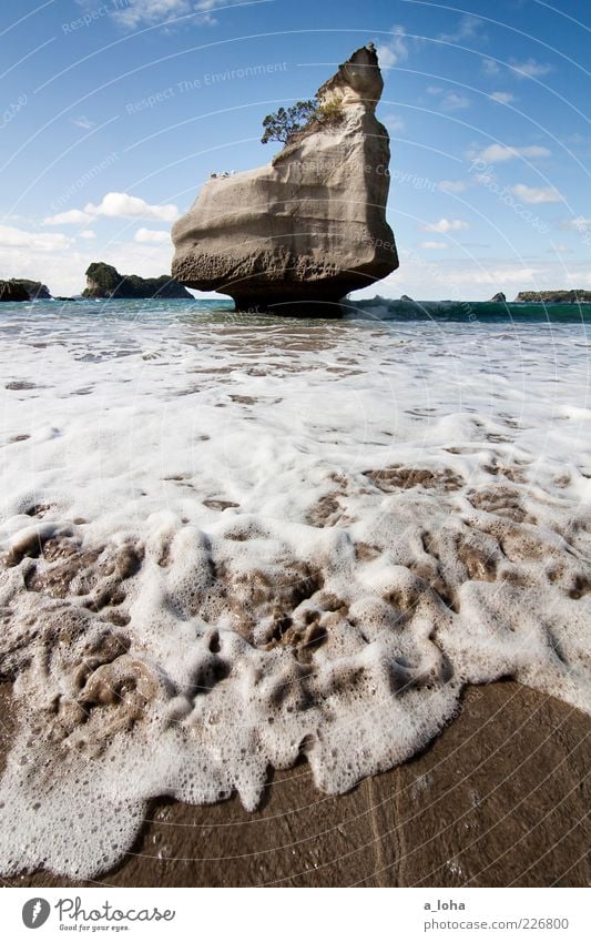 cathedral cove Natur Urelemente Sand Wasser Himmel Wolken Schönes Wetter Felsen Wellen Küste Strand Meer Bewegung Bekanntheit kalt nass Fernweh Einsamkeit rein