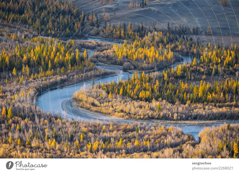 Kurve Umwelt Natur Landschaft Klimawandel Schönes Wetter Baum Sträucher Wald Flussufer Ferien & Urlaub & Reisen Ferne hell schön Tal Spitze gebeugt schief