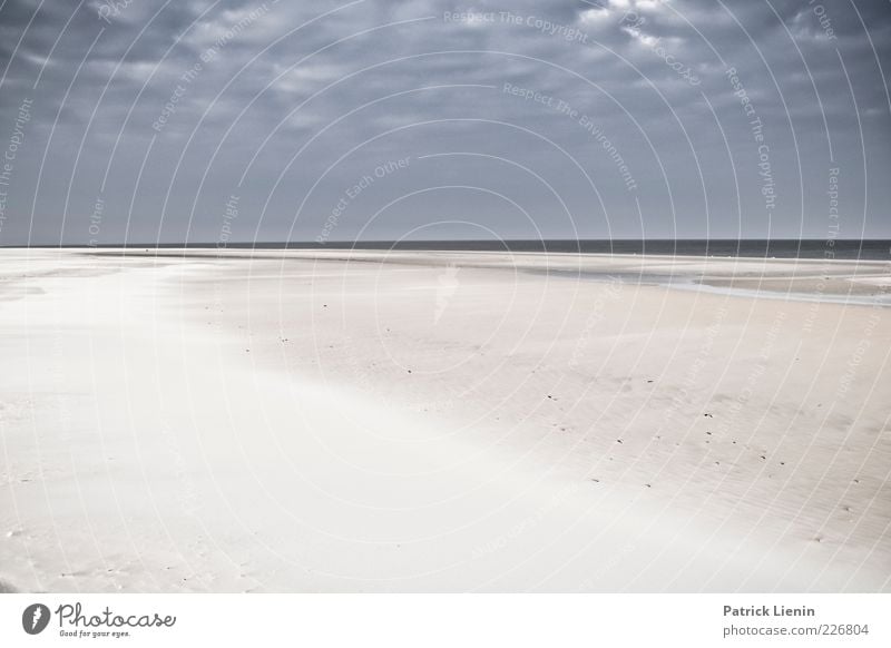 walk at the beach Umwelt Natur Landschaft Urelemente Erde Sand Luft Wasser Himmel Wolken Gewitterwolken Klima Wetter schlechtes Wetter Wind Küste Strand Ostsee