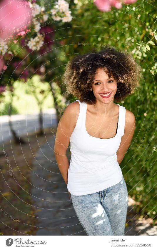 Junge schwarze Frau mit Afro-Frisur lächelnd im Stadtpark Lifestyle Stil schön Haare & Frisuren Sommer Mensch feminin Junge Frau Jugendliche Erwachsene 1