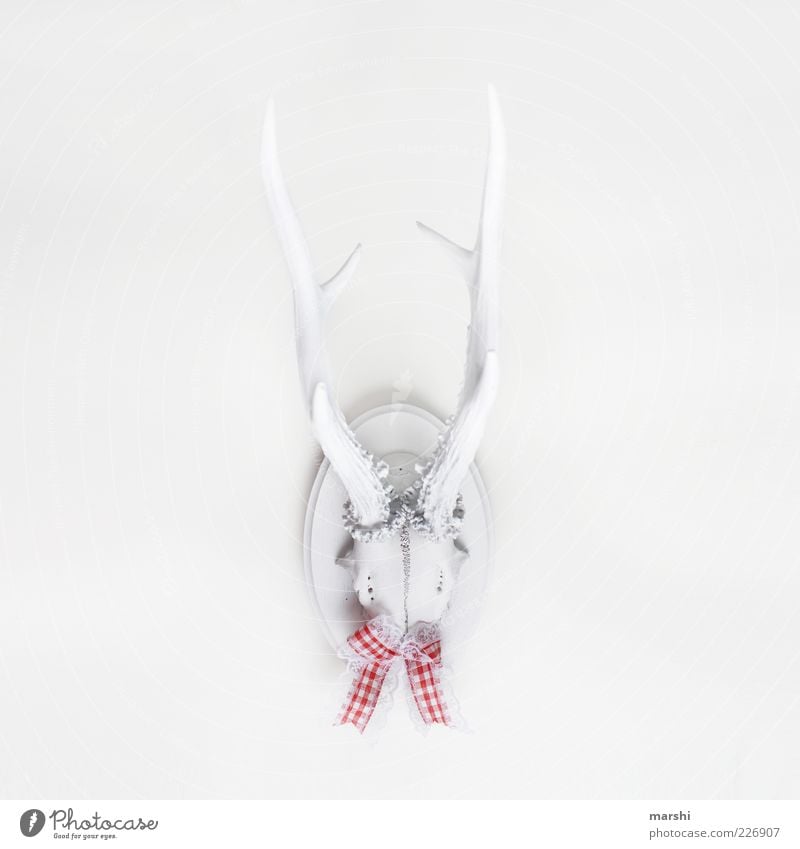 bockig Stil Design Häusliches Leben Tier Tiergesicht Zeichen weiß Horn Jagd Trophäe Bock Schleife Dekoration & Verzierung Wand Freisteller kariert retro Spitze