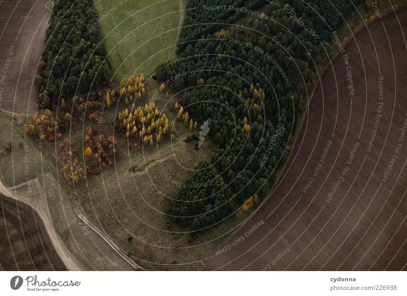 Buntes Eck Landwirtschaft Forstwirtschaft Umwelt Natur Landschaft Herbst Feld Wald Wege & Pfade einzigartig Freiheit ruhig schön Aussicht Herbstwald